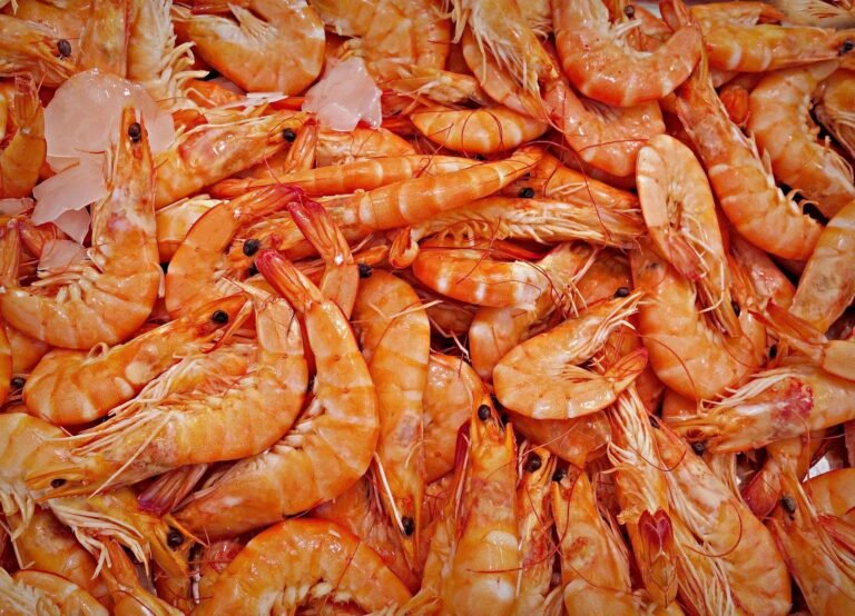 215+ Prawn Puns That Are Shrimply Hilarious, Cute, Romantic & Perfect for Viral Captions (2026 Guide)