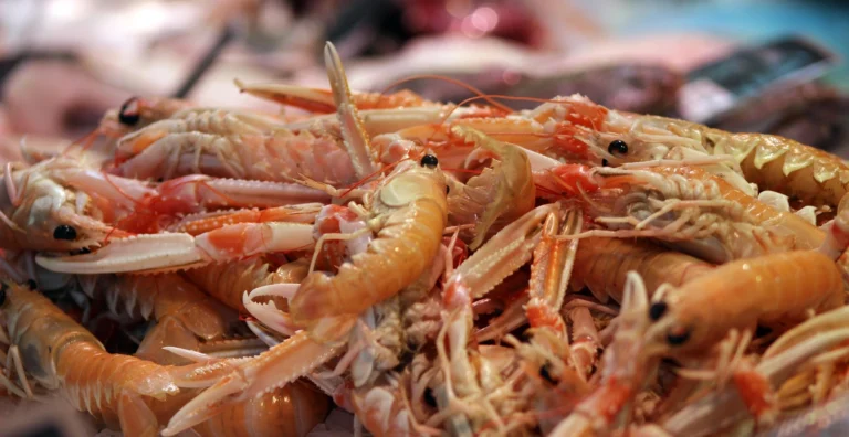 700+ Prawn Captions & Puns (2026): Funny, Cute, Romantic, Aesthetic & Viral Seafood Lines That Instantly Boost Engagement